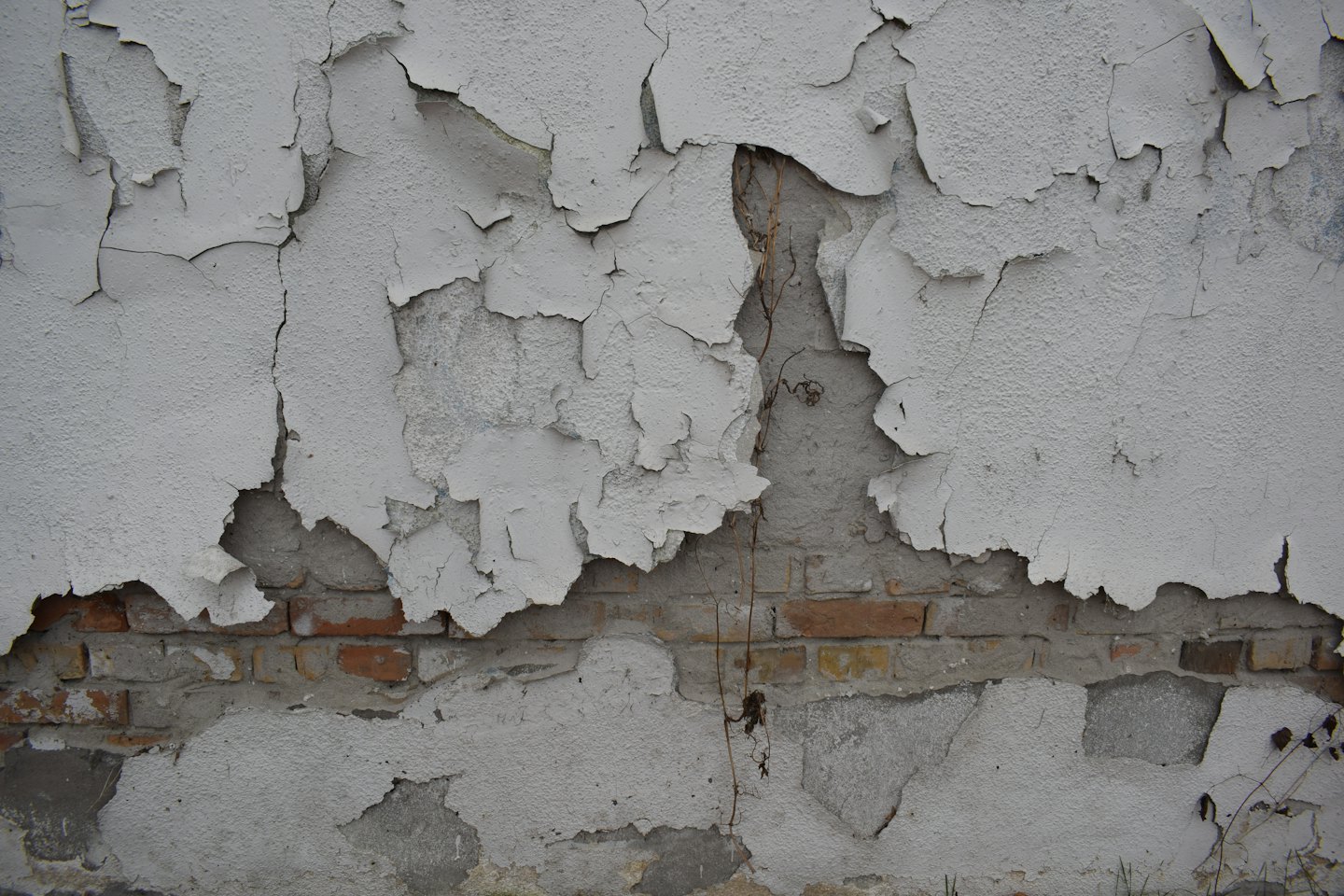 Peeling paint reveals layers of weathered brick and crumbling plaster.